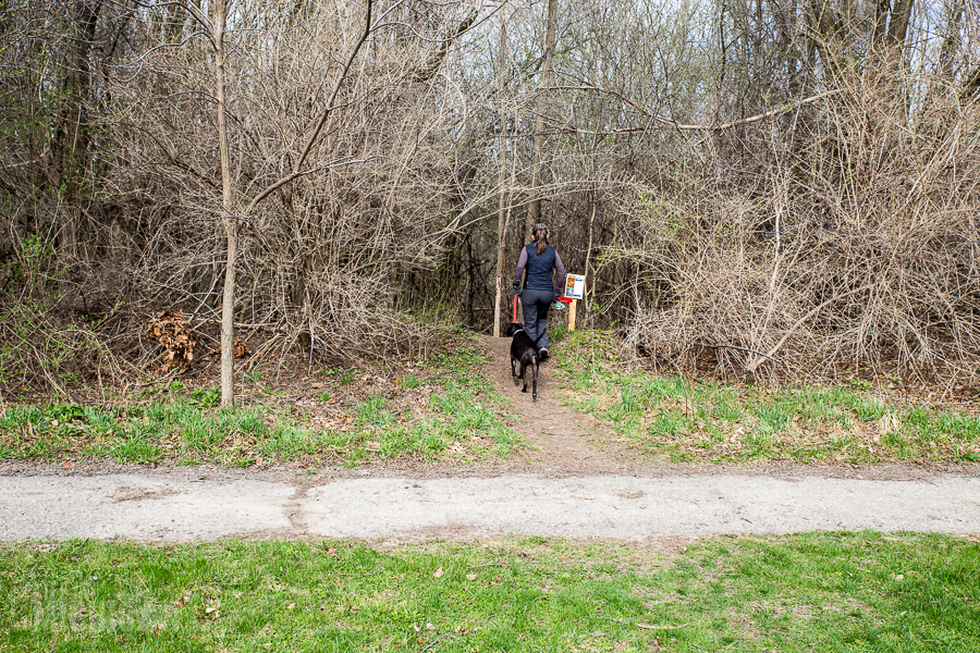 Ann Arbor Trail Series Leslie Park Trail Life In Michigan