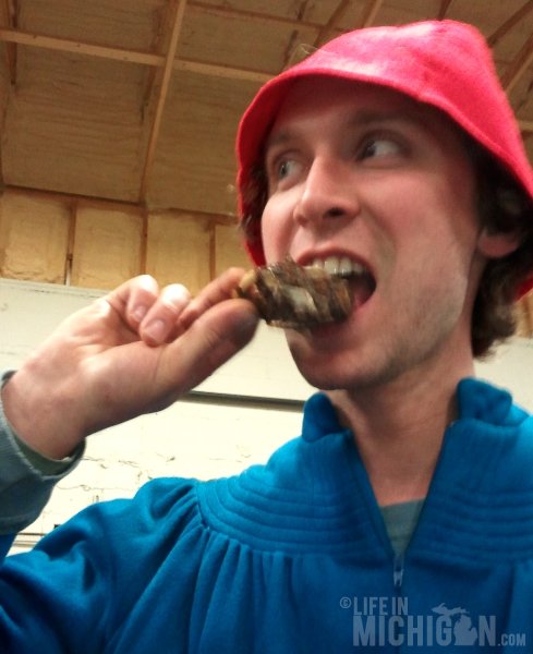 Blackrock brewer eating a Muskrat Head
