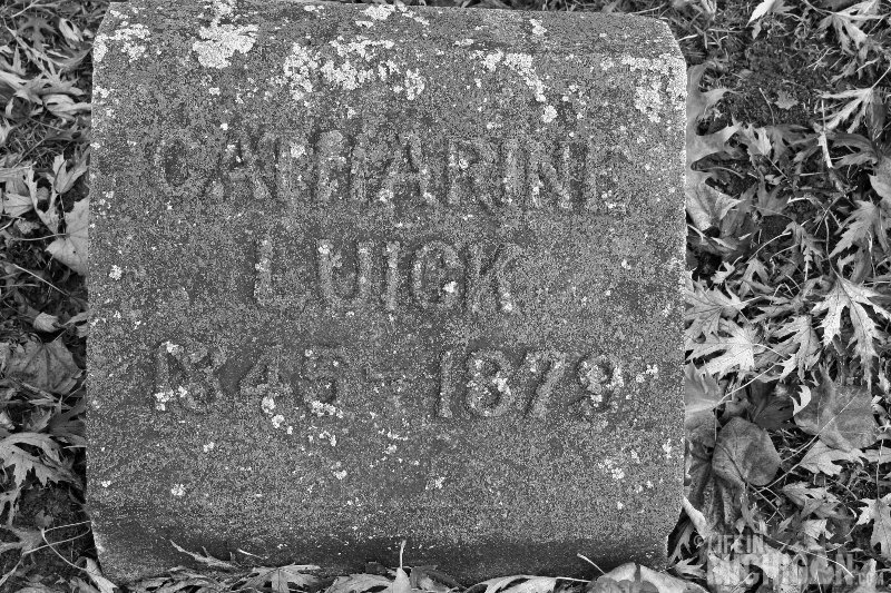 Catherine Luick 1845 - 1879 