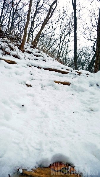 Michigan Winter Trail Running