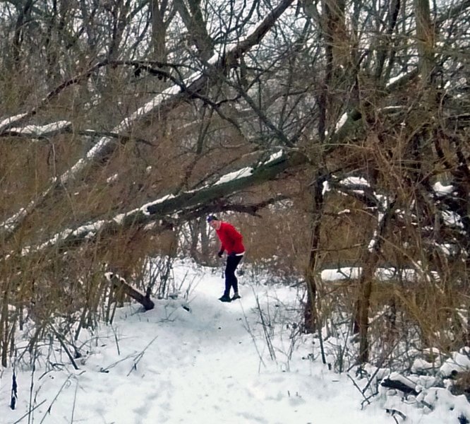 Michigan Winter Trail Running