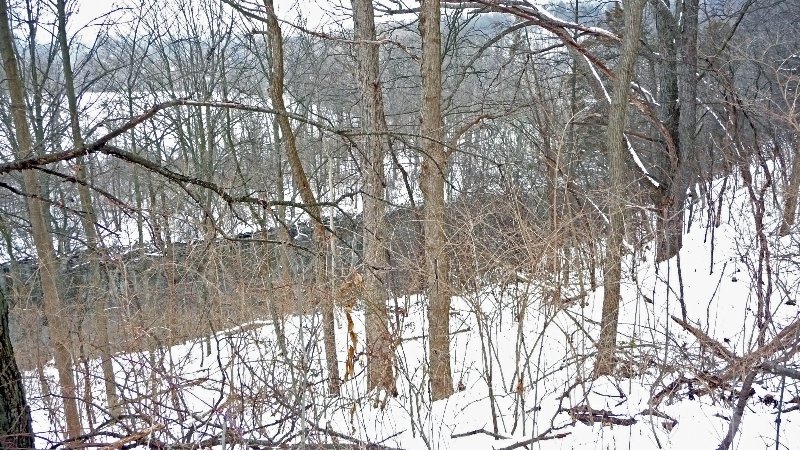 Michigan Winter Trail Running