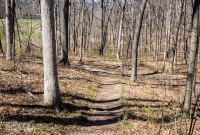Ann Arbor Trails - Bird Hill - 2015-22