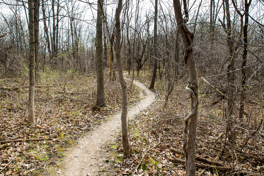 Ann Arbor Trails - Leslie -2015-13