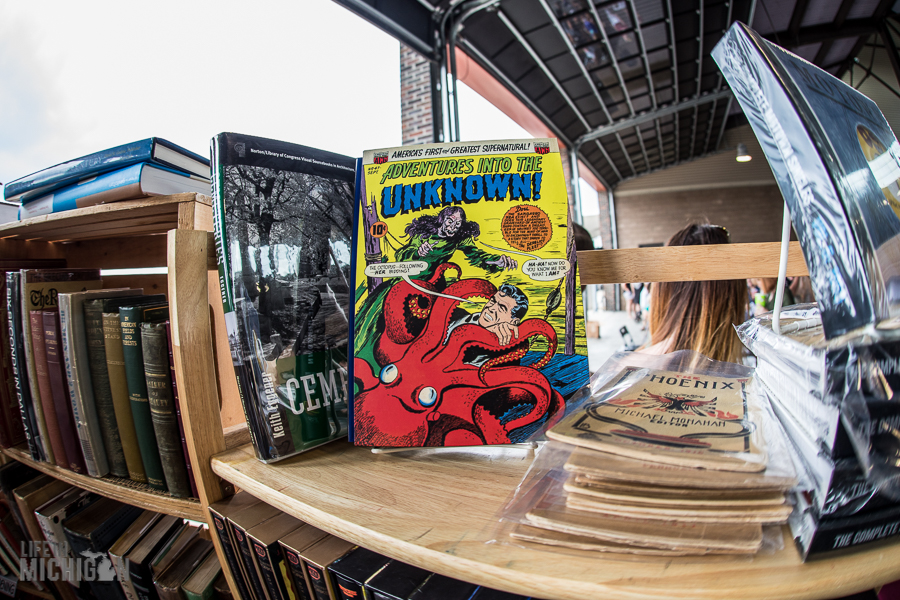 Detroit Book Festival 2017 – Life In Michigan