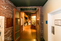 Detroit Historical Museum-1