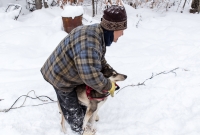Dogsledding Munising - U.P. Winter - 2014 -2