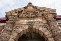 Explore Detroit - Belle Isle Aquarium - 2015-1