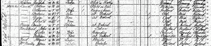 1880-census-ca-lewick
