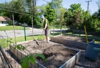 Spring Gardening, Chuck turning the soil