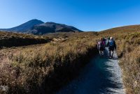 Hiking-New-Zealand-22