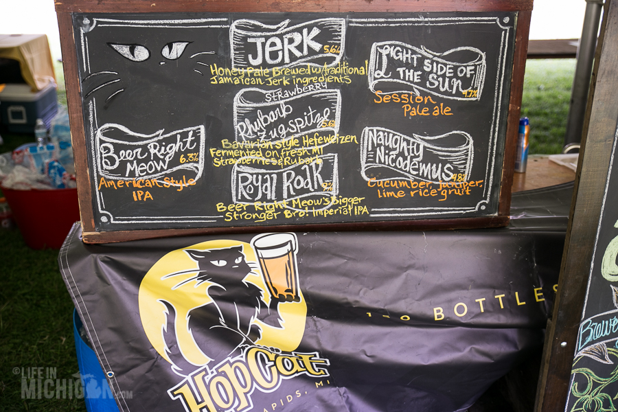 Michigan Summer Beer Festival 2014 Vibe Life In Michigan