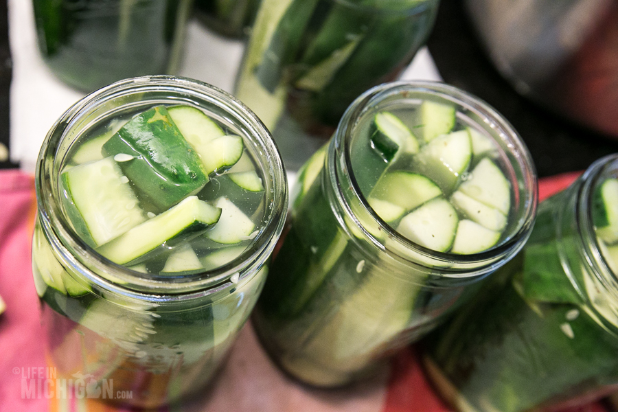 Time To Make The Pickles Life In Michigan