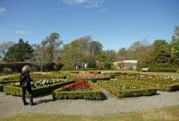 Flower garden at Dunvegan Castle