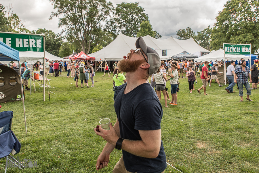 Michigan Summer Beer Festival 2017 Review Life In Michigan