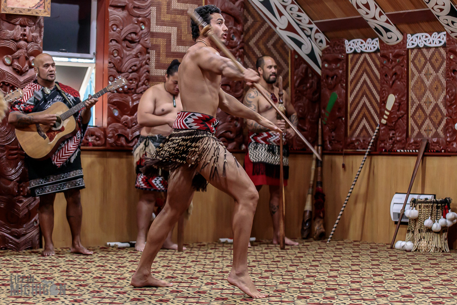 warrior - Te Puia in Rotorua
