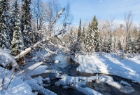 Yellow Dog River Snowshoe - U.P. Winter - 2014 -15