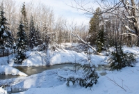 Yellow Dog River Snowshoe - U.P. Winter - 2014 -17