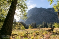 Yosemite National Park - Valley Loop Trail - 2014