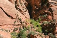 Getting ready to climb up into Refrigerator Canyon - Angels Landing