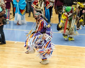 43rd Dance For Mother Earth Powwow - 2015