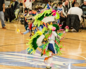 43rd Dance For Mother Earth Powwow - 2015-27