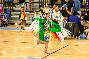 43rd Dance For Mother Earth Powwow - 2015 -39