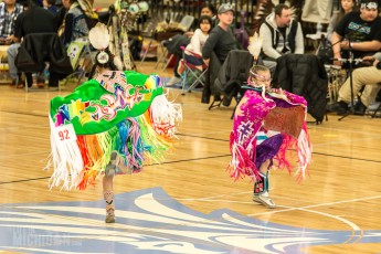 43rd Dance For Mother Earth Powwow - 2015 -40