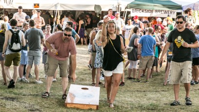 Michigan Summer Beer Fest - 2016-297