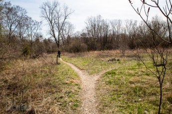 Ann Arbor Trails - Leslie -2015-37