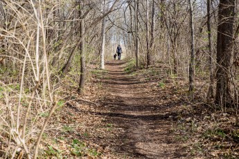 Ann Arbor Trails - Leslie -2015-5