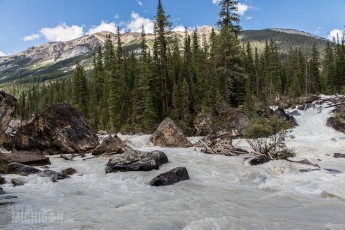Banff - Day 5-29