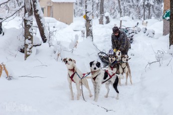 Dogsledding Munising - U.P. Winter - 2014