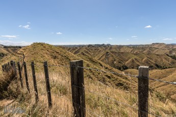 Forgotten-Highway-New-Zealand-30