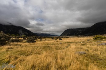 Hiking-New-Zealand-100