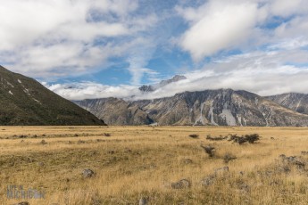 Hiking-New-Zealand-122