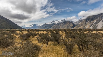 Hiking-New-Zealand-125