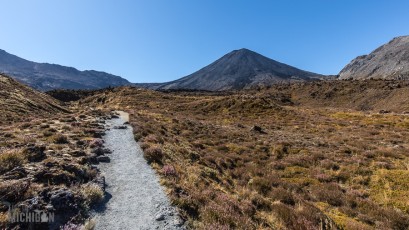 Hiking-New-Zealand-24
