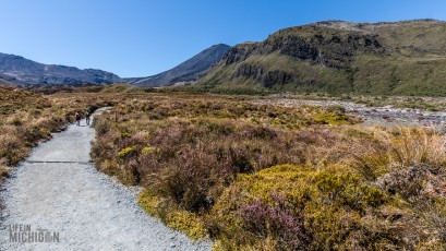 Hiking-New-Zealand-32