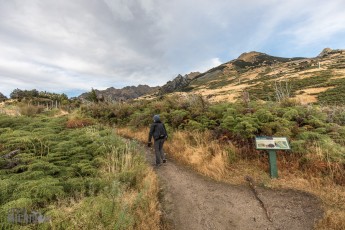 Hiking-New-Zealand-60