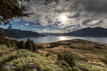 Hiking-New-Zealand-63