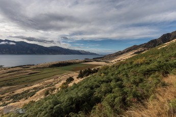 Hiking-New-Zealand-64