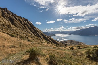 Hiking-New-Zealand-74
