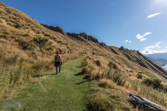 Hiking-New-Zealand-75