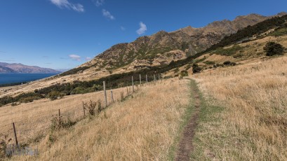Hiking-New-Zealand-87