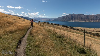 Hiking-New-Zealand-88
