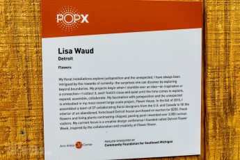 POPX-2016-3