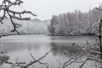 Winter - 2015-2