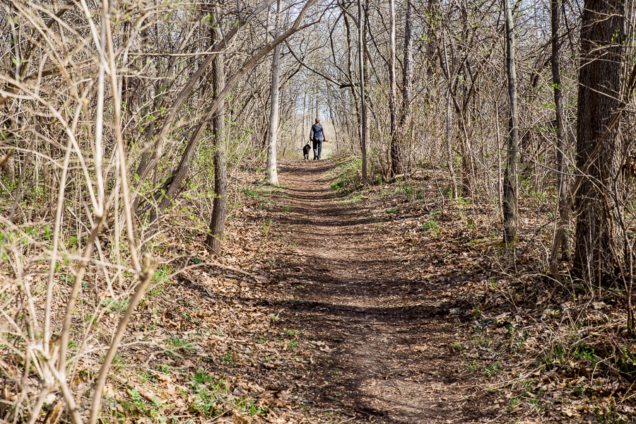 Ann Arbor Trail Series – Leslie Park Trail