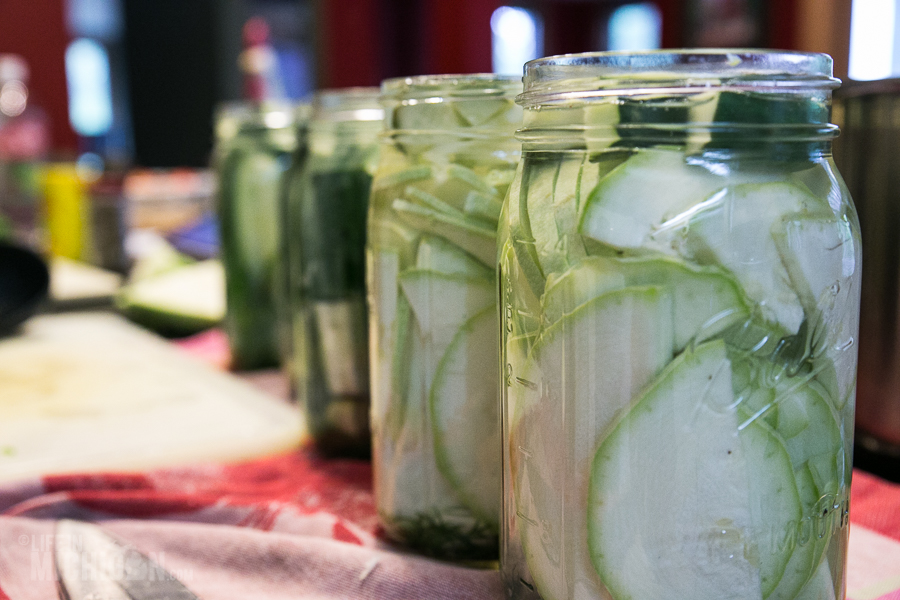 Time To Make The Pickles Life In Michigan